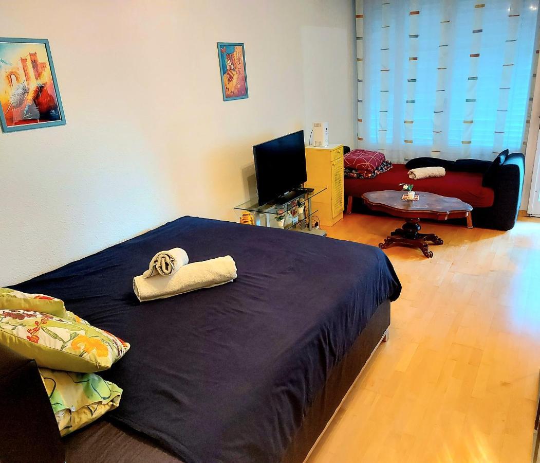 Large Apartment Bern City Centre Dış mekan fotoğraf