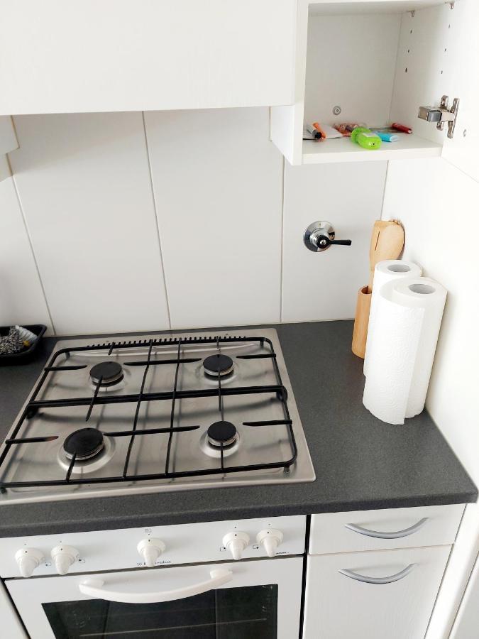 Large Apartment Bern City Centre Dış mekan fotoğraf